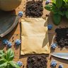 Ancient Seed Stardew Valley Guide: Find, Plant, and Grow Ancient Fruit